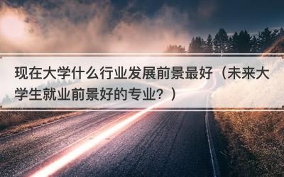 现在大学什么行业发展前景最好（未来大学生就业前景好的专业？）