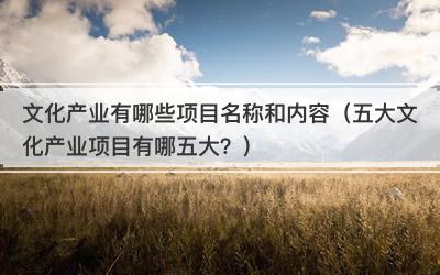 文化产业有哪些项目名称和内容（五大文化产业项目有哪五大？）