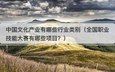 中国文化产业有哪些行业类别（全国职业技能大赛有哪些项目？）