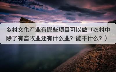 乡村文化产业有哪些项目可以做（农村中除了有畜牧业还有什么业？能干什么？）